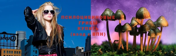 молекула духа Абинск