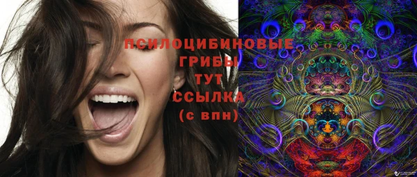МДПВ Абаза