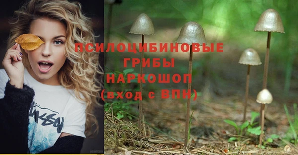 молекула духа Киренск
