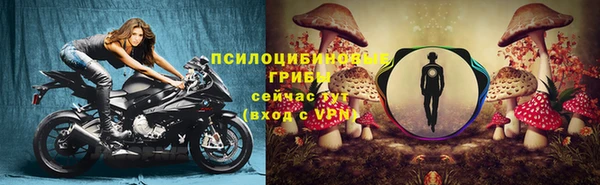 молекула духа Абинск